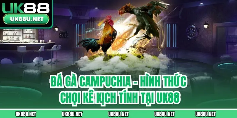 Đá Gà Campuchia - Hình Thức Chọi Kê Kịch Tính Tại UK88