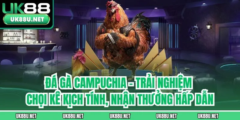 Đá gà Campuchia - Trải nghiệm chọi kê kịch tính, nhận thưởng hấp dẫn