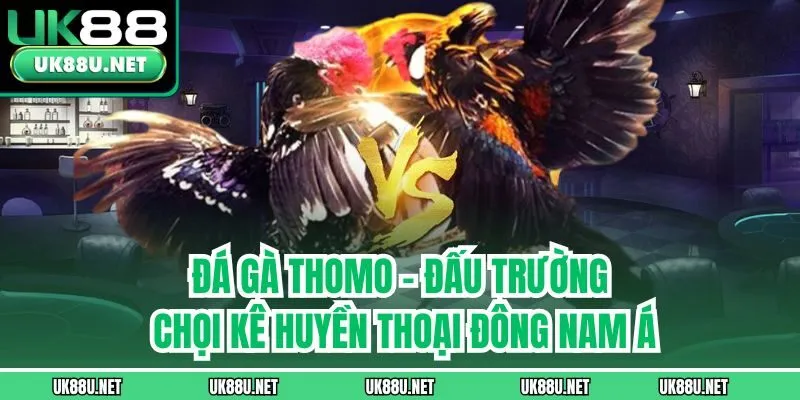 Đá Gà Thomo – Đấu Trường Chọi Kê Huyền Thoại Đông Nam Á