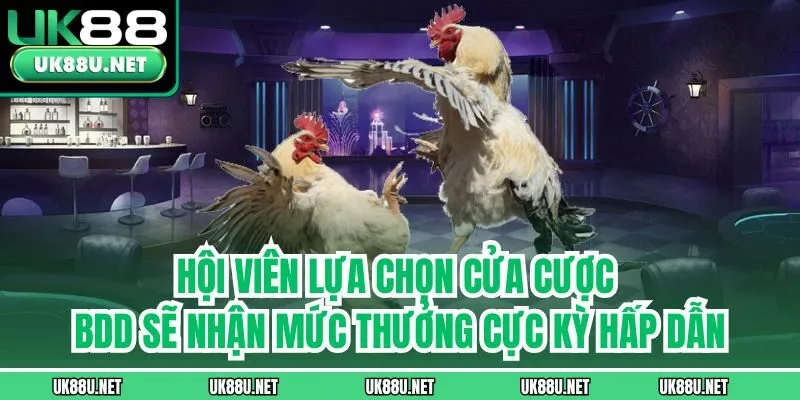 Hội viên lựa chọn cửa cược BDD sẽ nhận mức thưởng cực kỳ hấp dẫn
