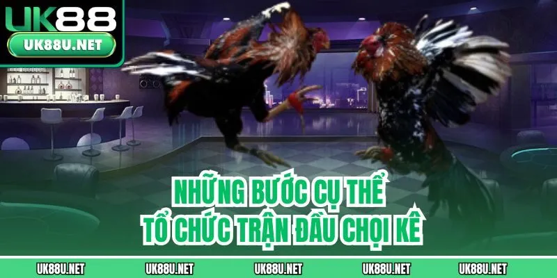 Những bước cụ thể tổ chức trận đầu chọi kê