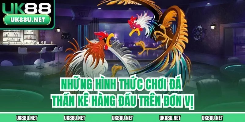 Những hình thức chơi đá thần kê hàng đầu trên đơn vị