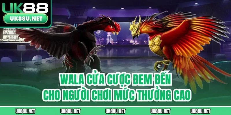 Wala cửa cược đem đến cho người chơi mức thưởng cao